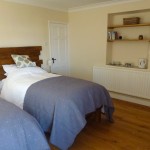 Driftwood (twin or double)