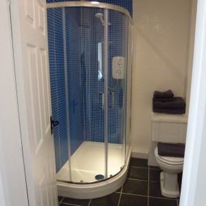 Seashell en suite shower room